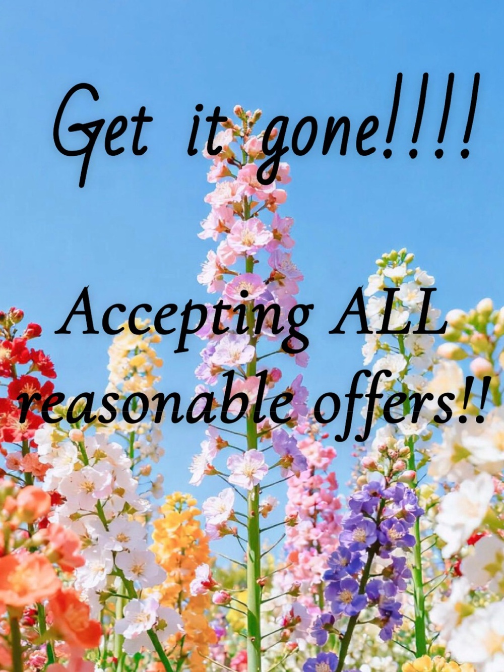 Floral Multi-Color Wall Art Print - Home Accents
